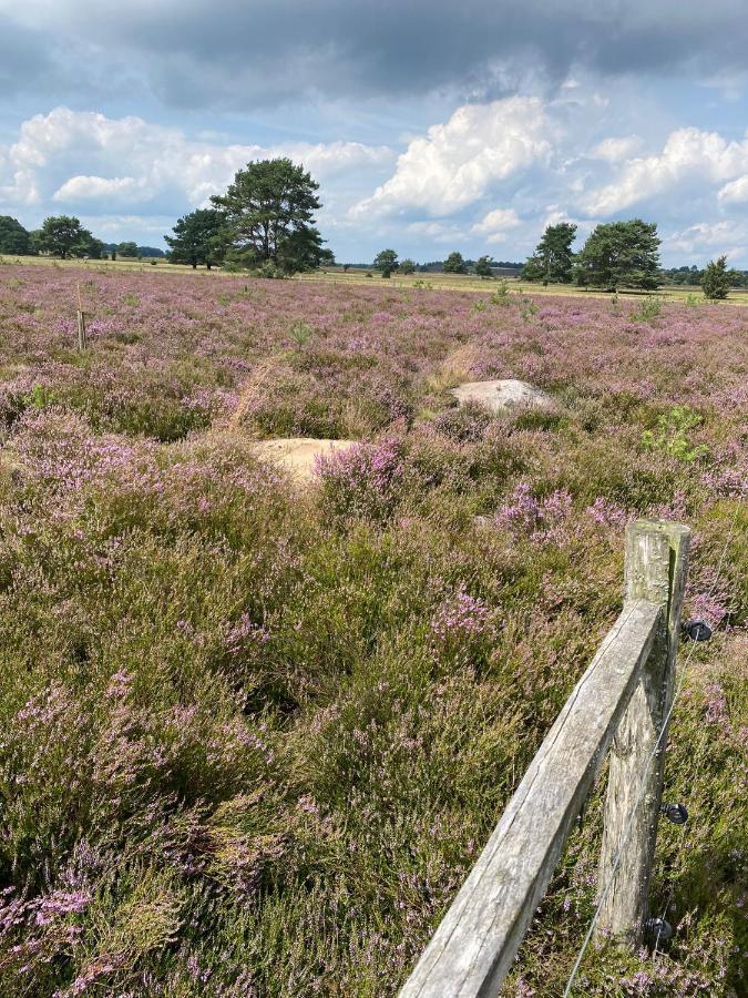 Holiday In Der Lueneburger Heide Bispingen Kültér fotó